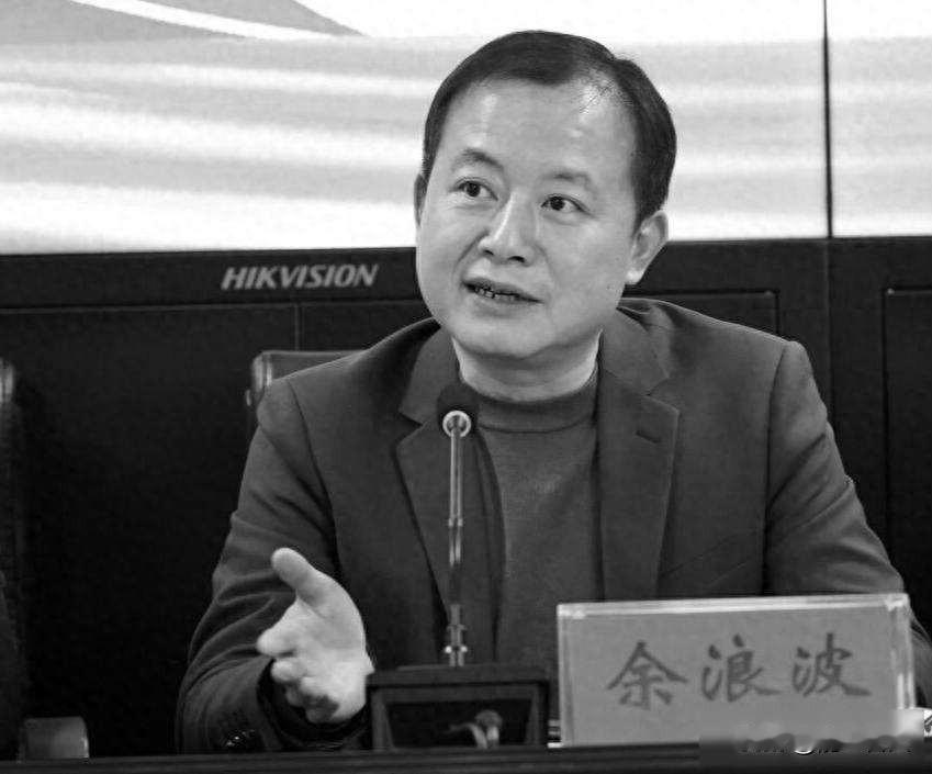 他走了,公司静了,没人敢说话余浪波是湖南益阳人,1979年生,今年四十六岁,