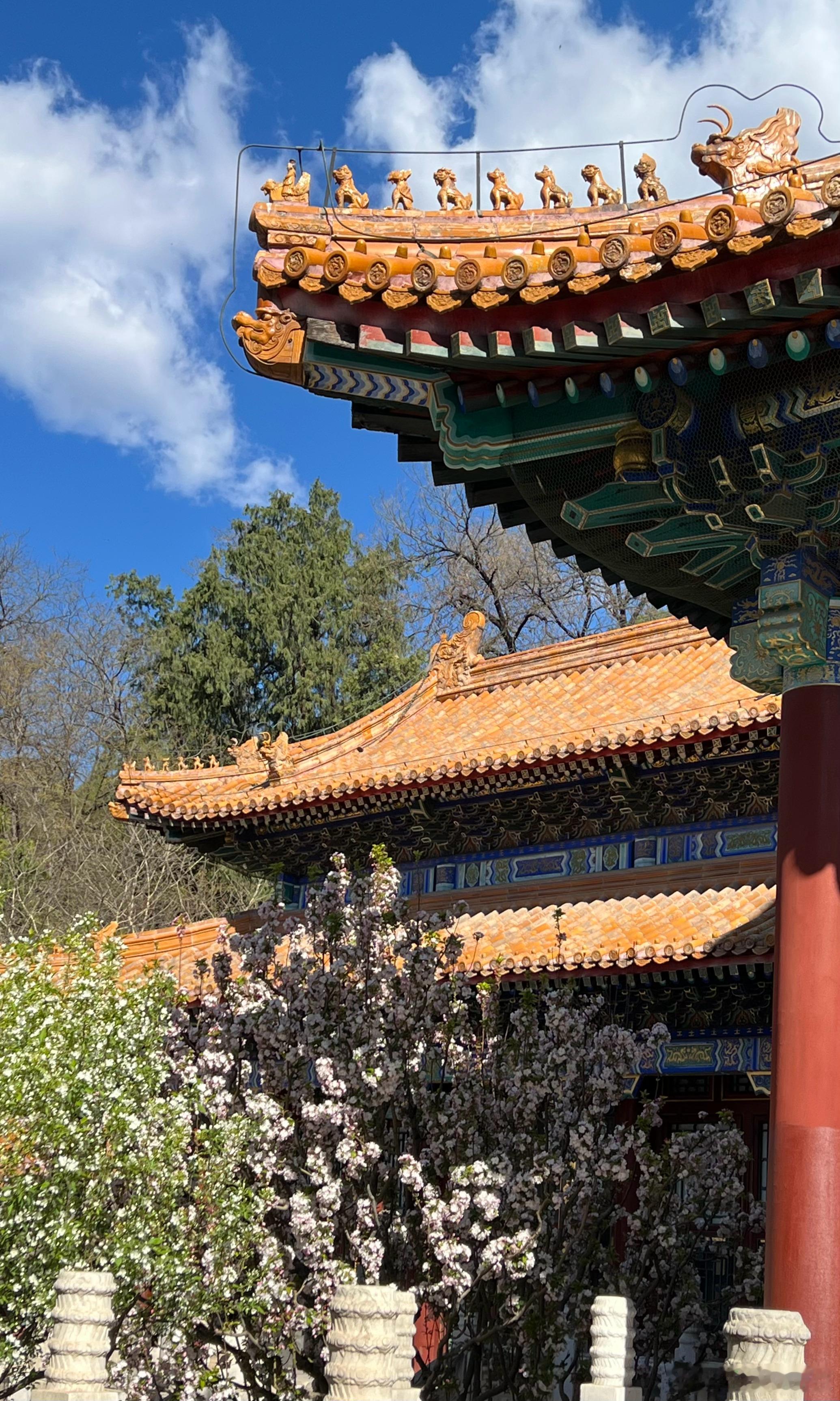 颐和园佛香阁海棠花开摄影