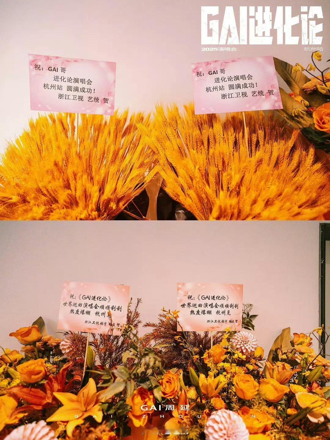 陈楚生李佳薇给GAI演唱会送花篮浙江卫视天赐的声音给GAI演唱会送花篮陈楚生李