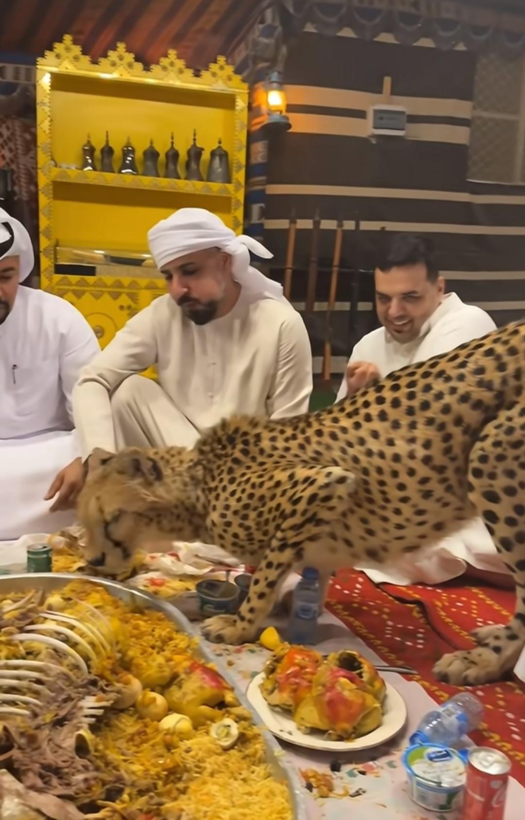 阿联酋真有钱，5000万美元，赎回1名重要阿联酋人！在非洲国家马里首都飞机场，武