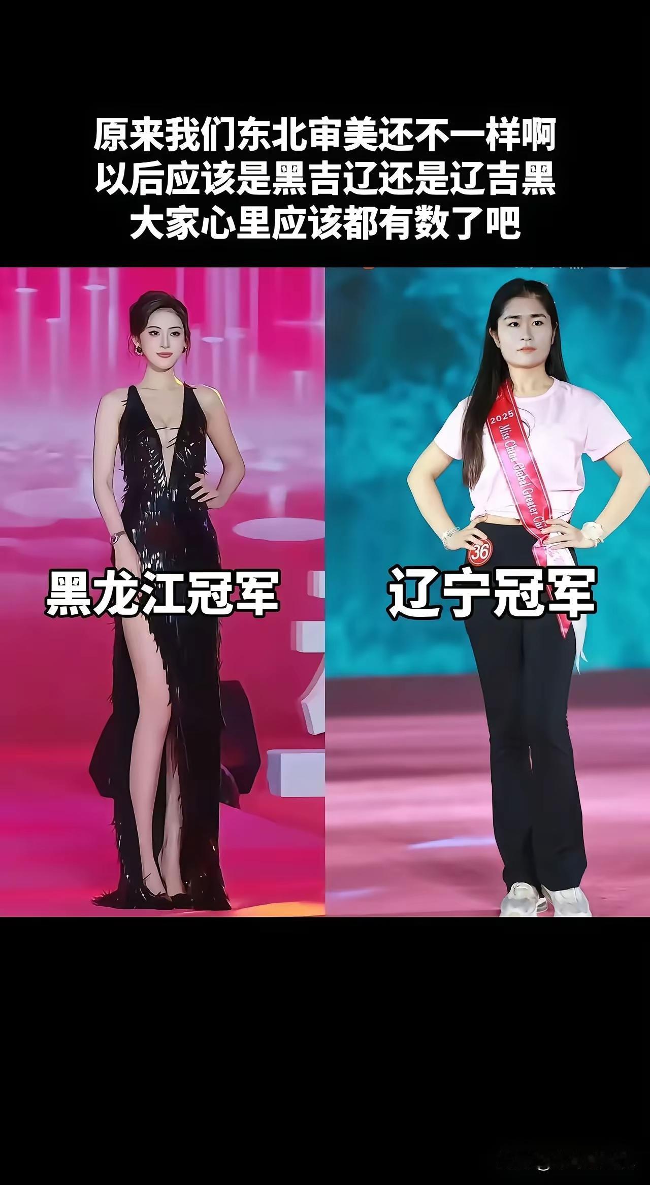 我是黑龙江人,让我选,我也选辽宁这位,为啥呢?黑龙江的这个太瘦,端茶倒水还行,下