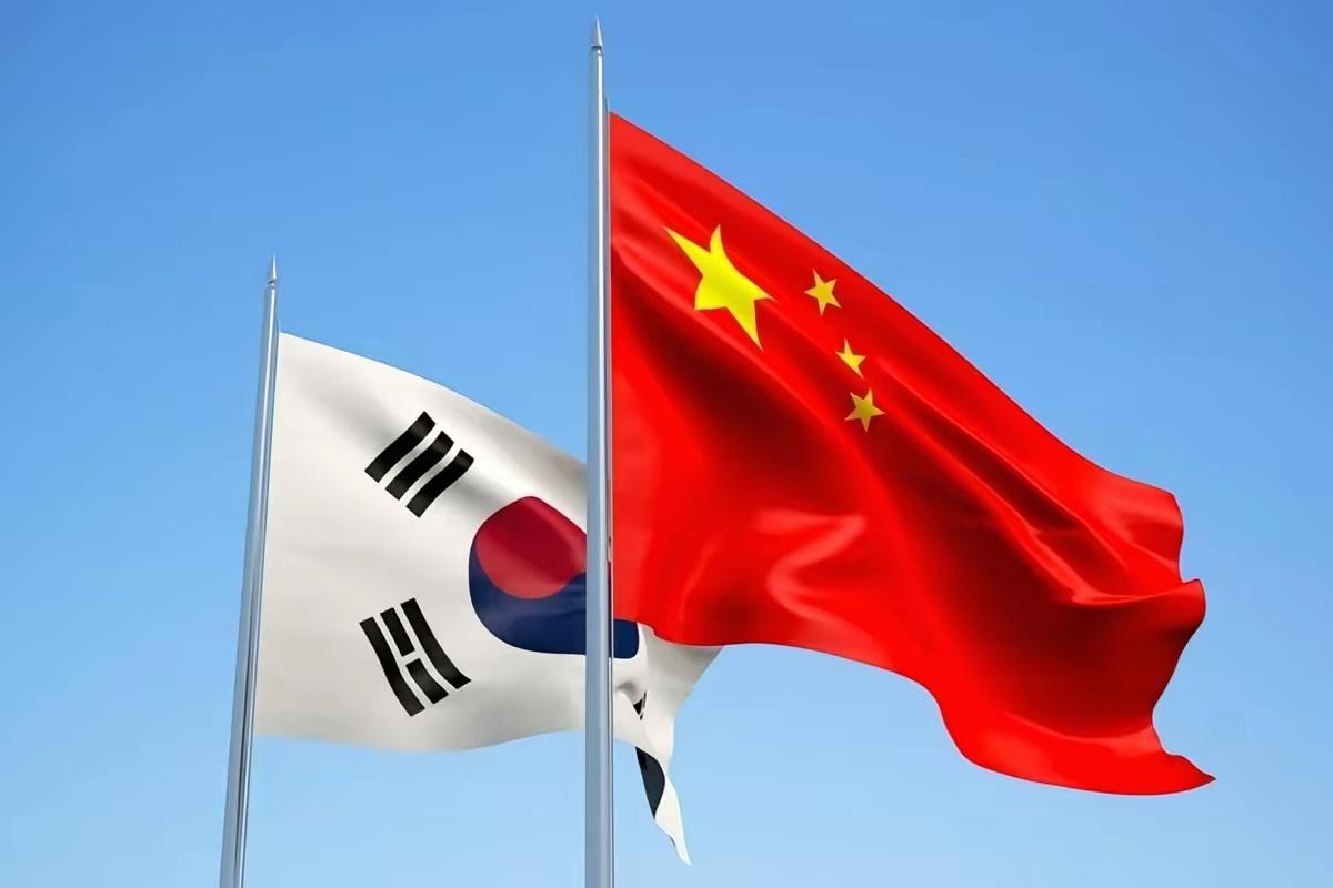 中方团队撤了！展是自己拆的，人也是自己走的，好端端一个国际双年展，成了闹剧现场