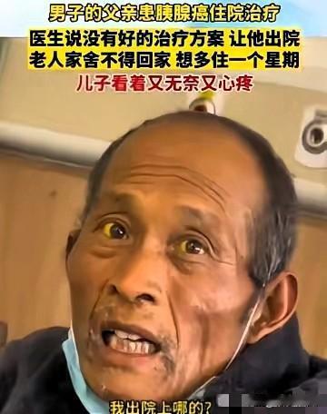 深秋的风卷着枯叶，刮过医院住院部的玻璃窗，发出细碎的声响。72岁的陈大爷缩在病床