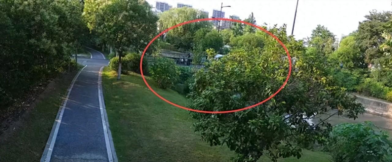 事发突然！杭州一男童落水，95后外卖小哥跳河救人！"最后7个单迟了3个