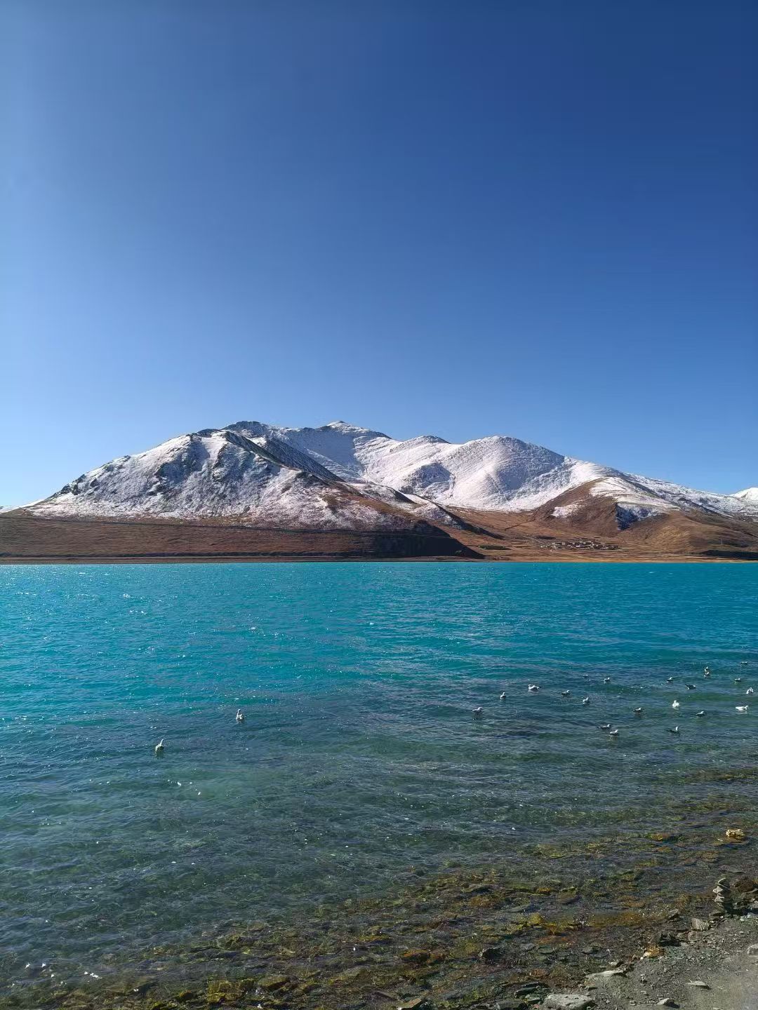 西藏旅游，羊卓雍措美景一眼封神！