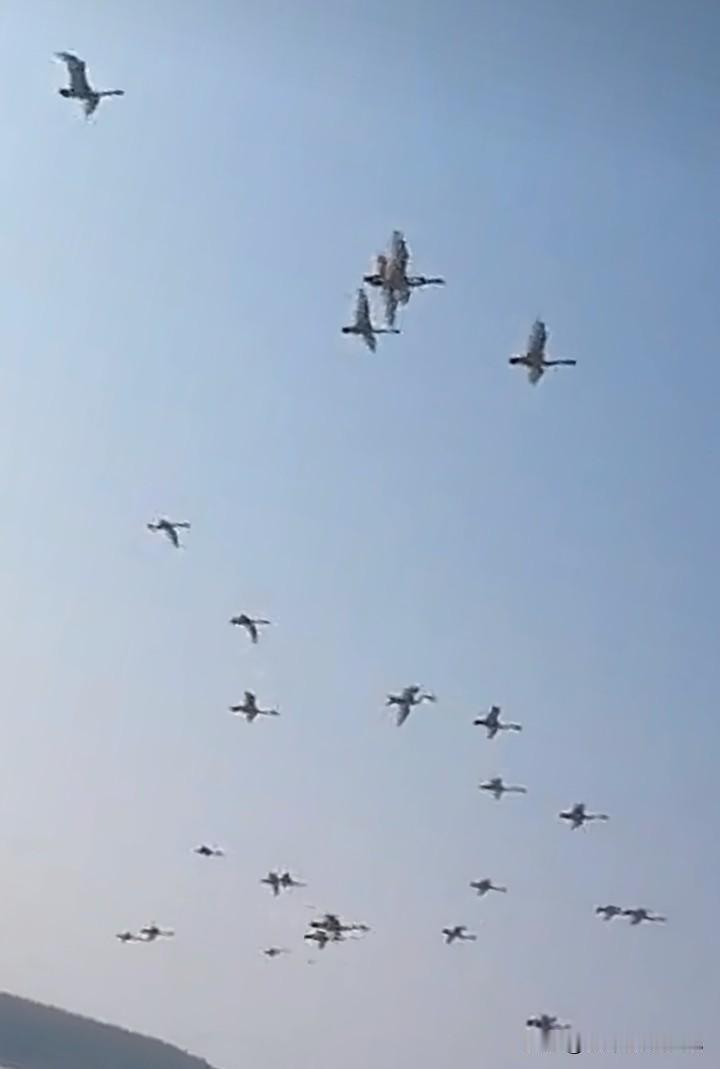 3死8伤大巴侧翻事故后的冷思考——车况”天天查,“人况”谁来问?广西桂林大巴