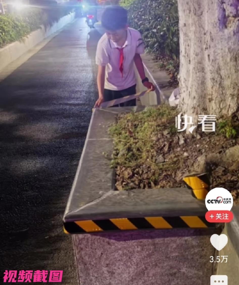 江苏南京有名上小学的男孩，看回家一路中，因害怕自己的爸爸下班路过一处时，有花坛的