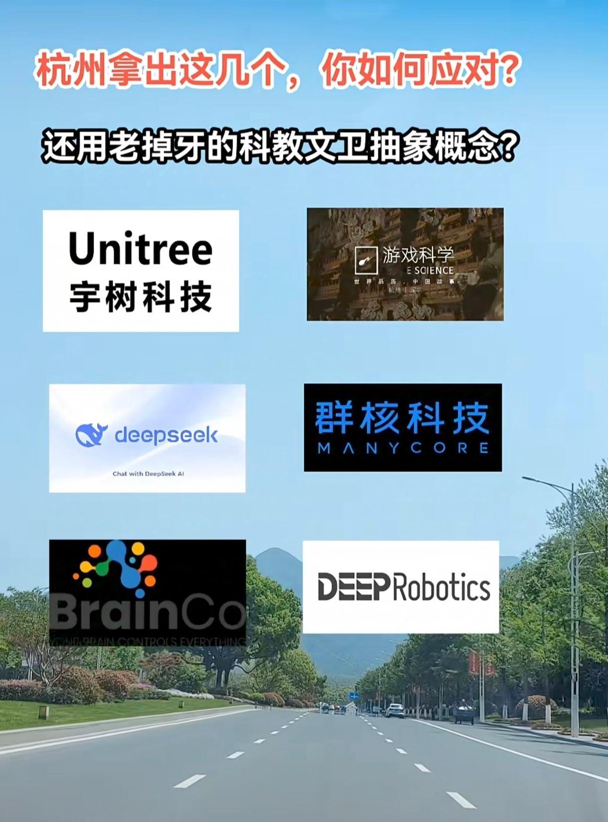 Deepseek创始人去北京作报告了！感觉杭州未来不可限量！AI大模型研发、人形