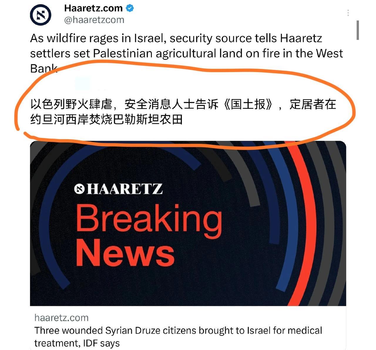 以色列军方试图将以色列大火的来源归咎于巴勒斯坦人。随后国土报又放出以色列安全人