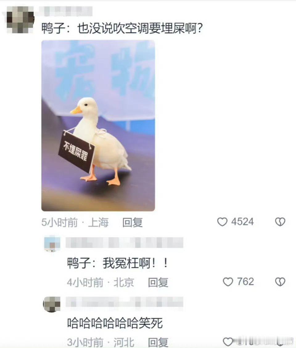 上海的泊狗位竟然已经有空调了压根没想到竟然说这么超前，宠物也能接受高待遇[捂眼睛]真