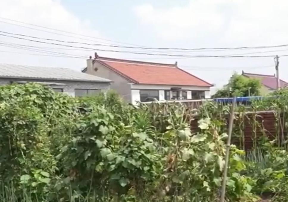 2026年8月31日，据辽阳市公安局报道，辽宁辽阳一名有着百余起盗窃前