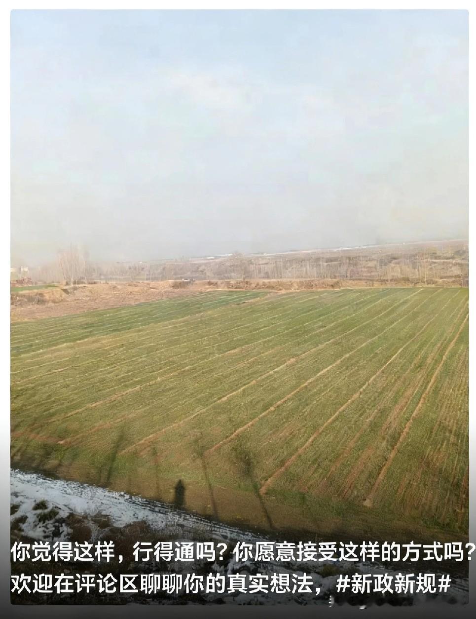 明年初（2026年3月30号），新的殡葬制度将要开始执行，咱们处理身后事的方式可