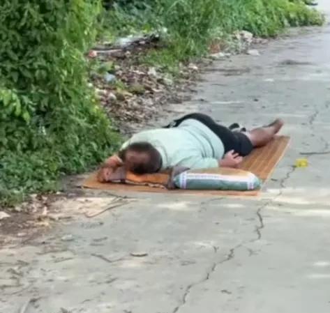 人完全不需要买房买车背上一身债务。看看沈巍，以天为房，以地为床，只要有书看有觉睡