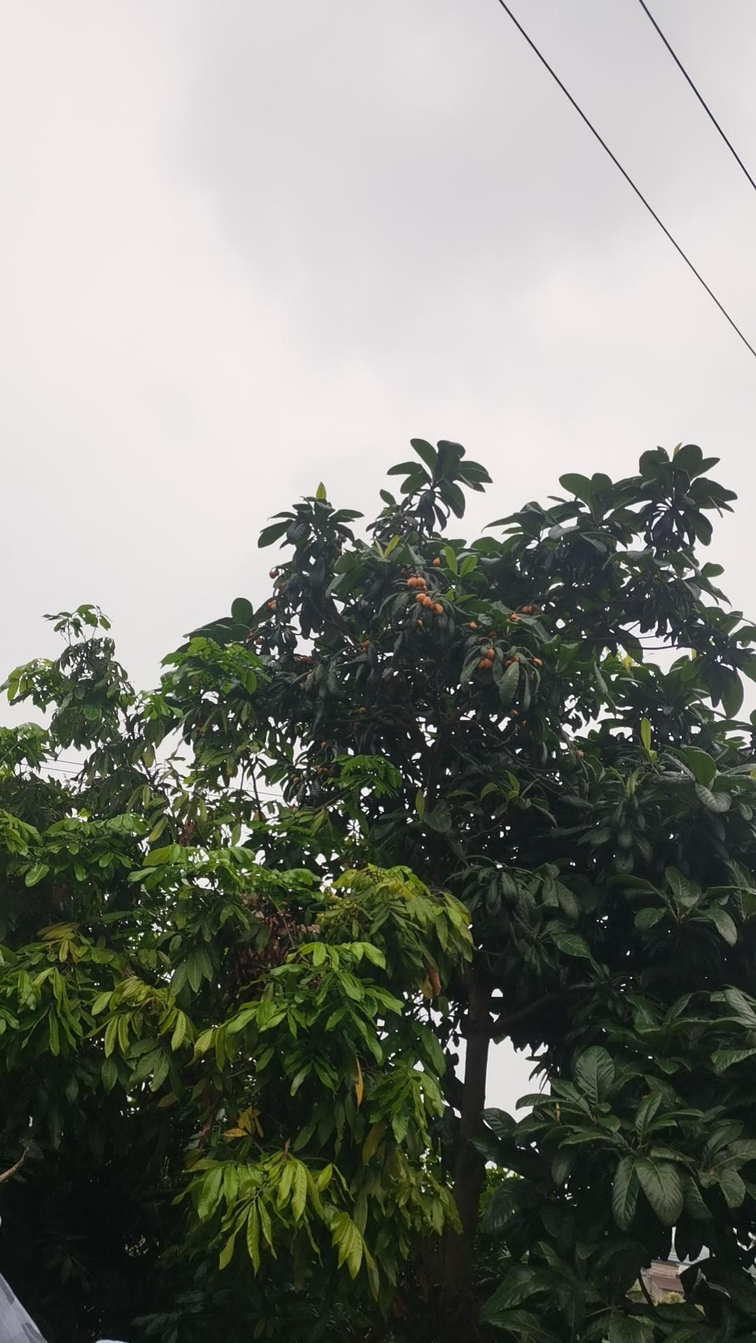 全网首个起诉豆包的人来了，不得不说现在AI说话真是越来越没分寸，随口给出的答案差