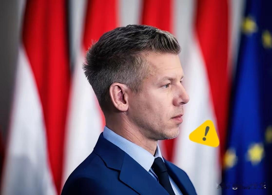 欧尔班大祸临头！匈牙利欧尔班阵营寡头多账户被冻结，百亿资产遭截停！4月28日，