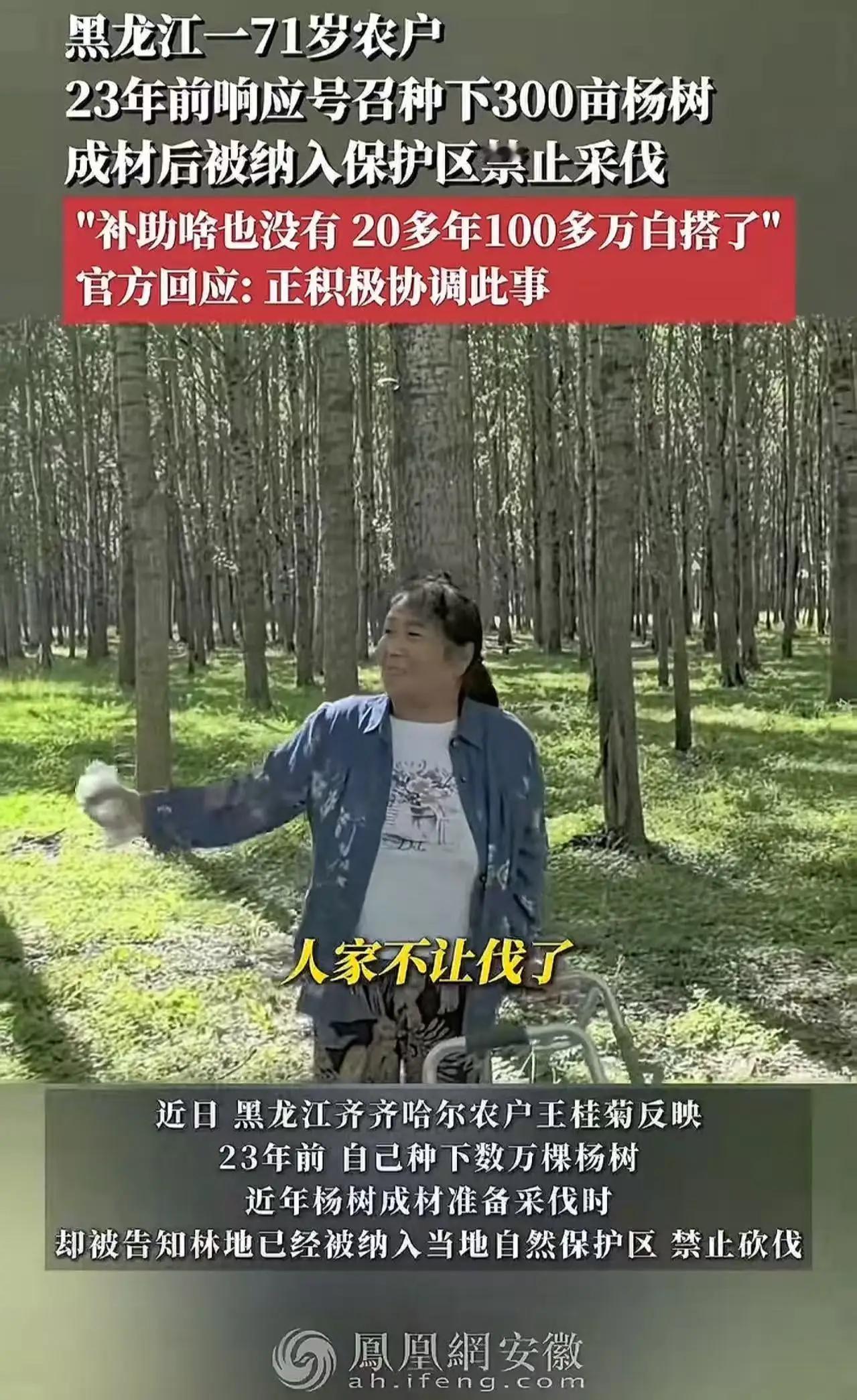 71岁农户23年种300亩杨树，成材后禁伐无补助：生态与民生不该是单选题“