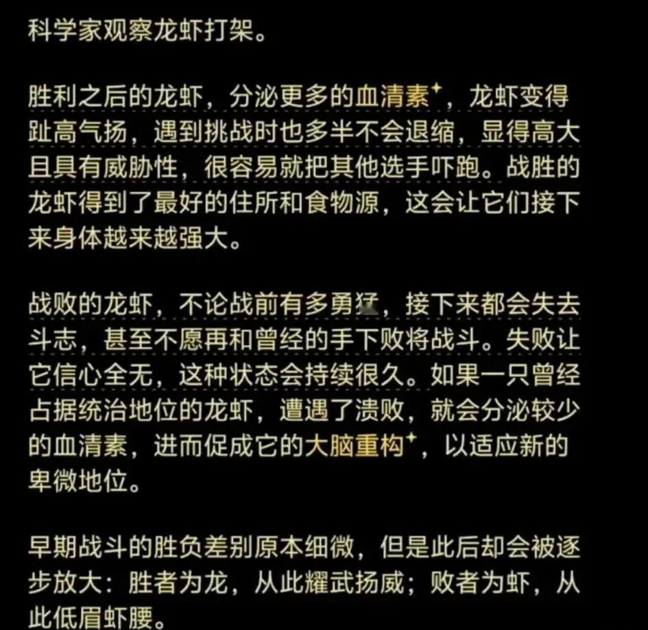 打赢变龙，打输变虾，龙虾界的残酷马太效应！