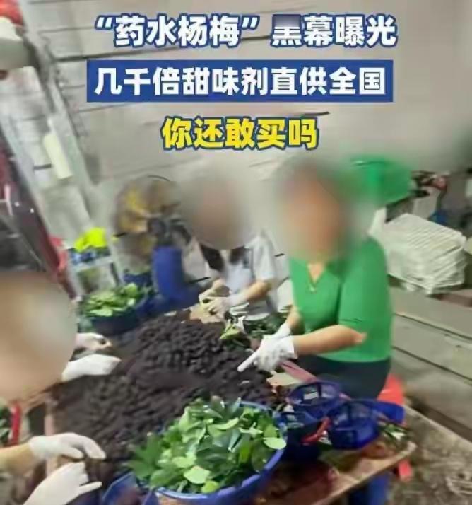 福建杨梅泡药，结果就是果农出来喊冤，说都是收购商泡药，果农是无辜的。我相信果农