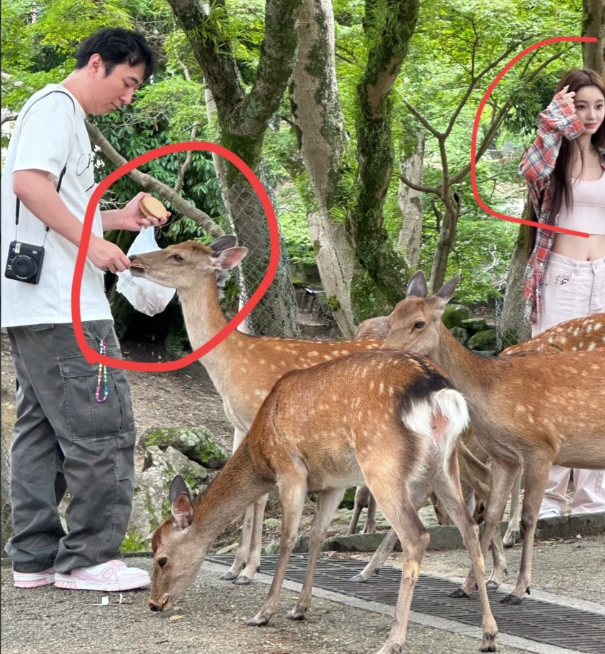 我有一种预感，王健林的儿子可能要结婚了，不是因为王健林不给零花钱了，而是