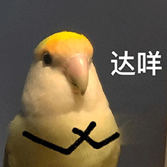 每天一条冷知识眼镜鼻托戴久了会发绿，这个绿就是铜绿，也叫铜锈，其主要成分是碱式碳