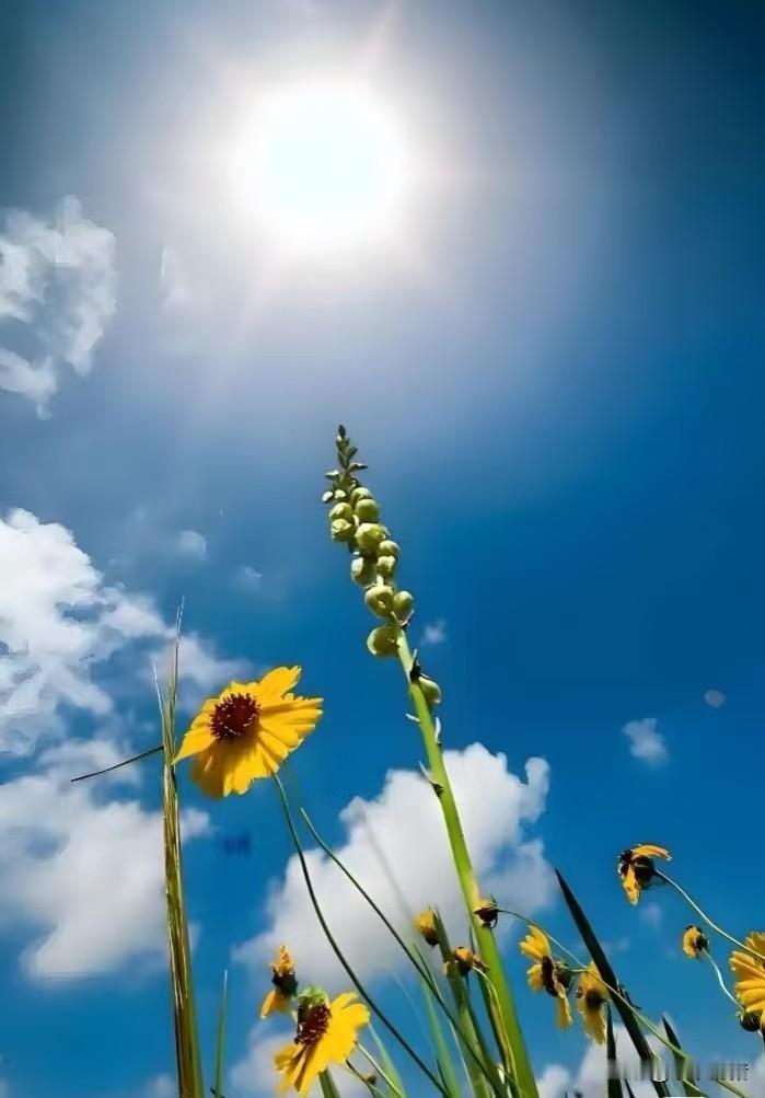 当年我七叔最后快不行的时候是想回家的，可是堂弟说让七叔在家去世他害怕。我三叔就主