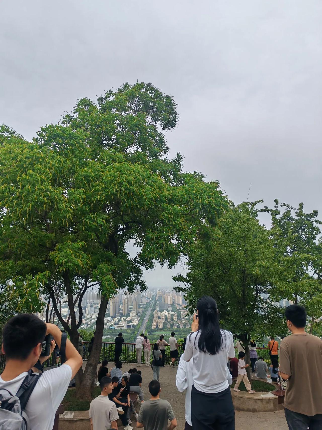 南京：合肥，你也是省会，有啥好玩的？合肥：走，我带你爬大蜀山！南京：大蜀山，