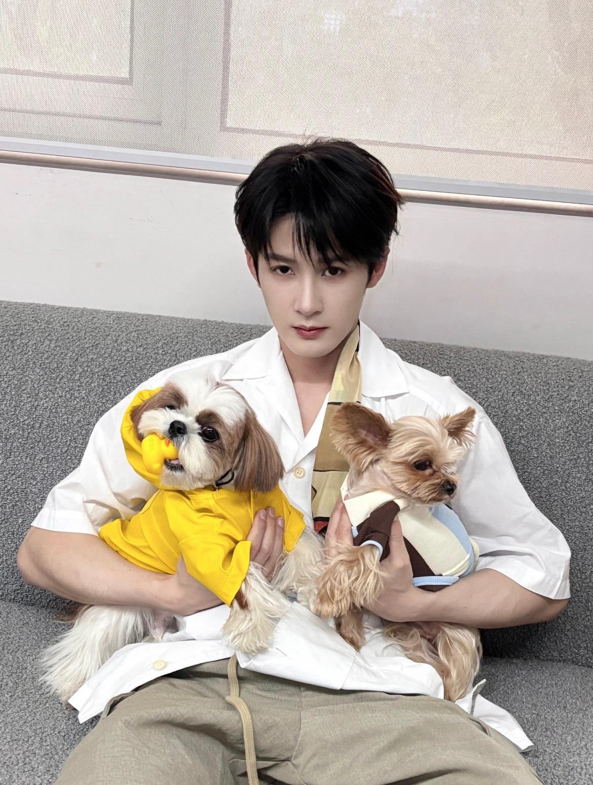 檀健次三只单身狗檀健次：证明：三只单身狗。檀健次在多个平台发澄清声明说自己单身