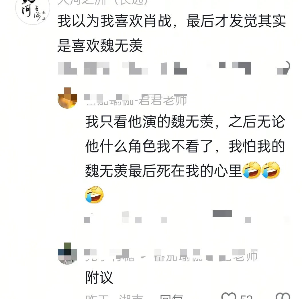 我以为我喜欢的是肖战最后才发觉我喜欢的是魏无羡看到这段话有点说不上来的感觉角色，