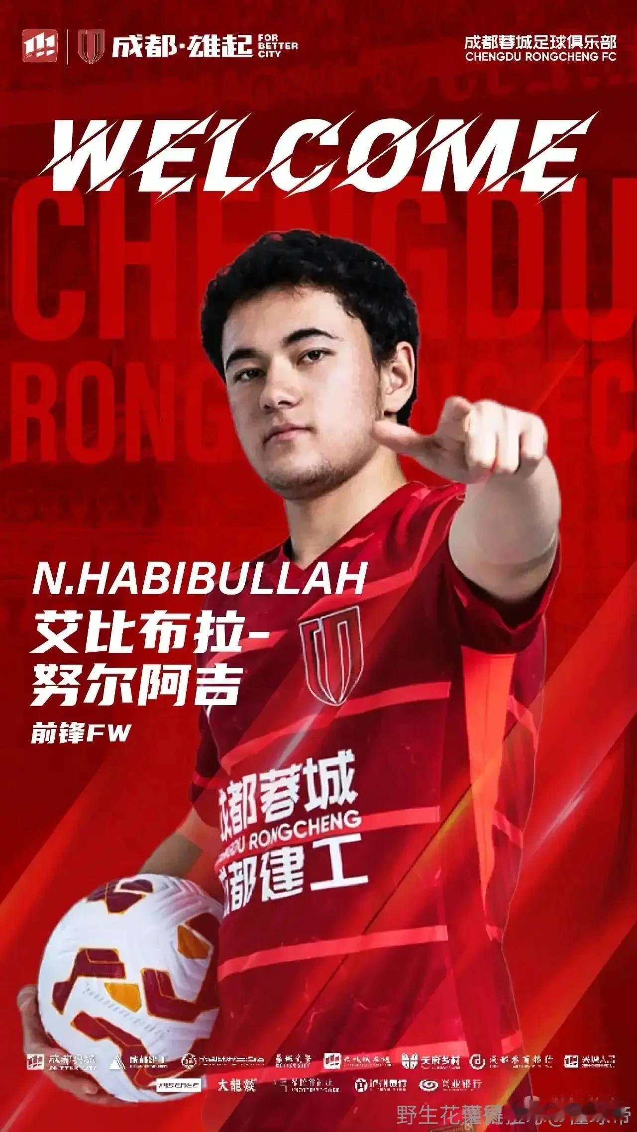 换一个环境，换一种活法。强烈建议艾比布拉去德国试试运气，或许能够曲线救国，未来还