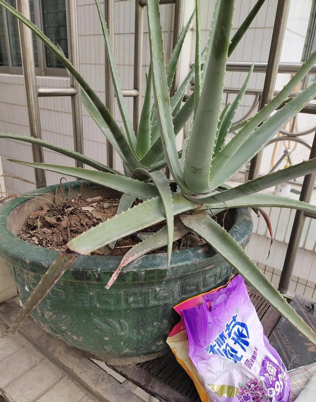 五十岁，从长沙跑到东莞，车票钱花了，电动车租了，房租交了，四天没找到活儿。以前