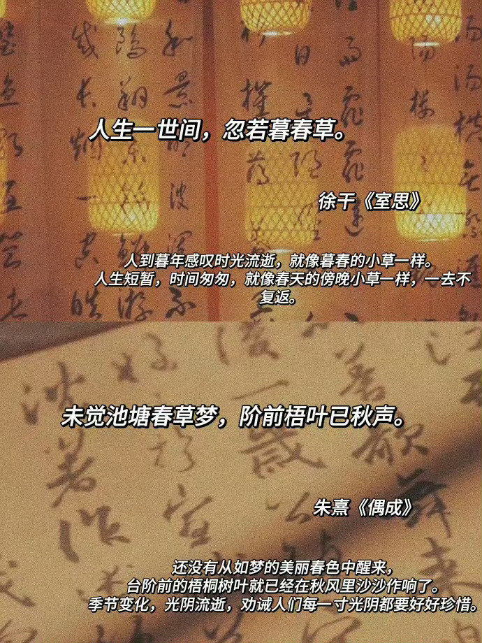 落笔即是惊艳，美到窒息的神仙句子！