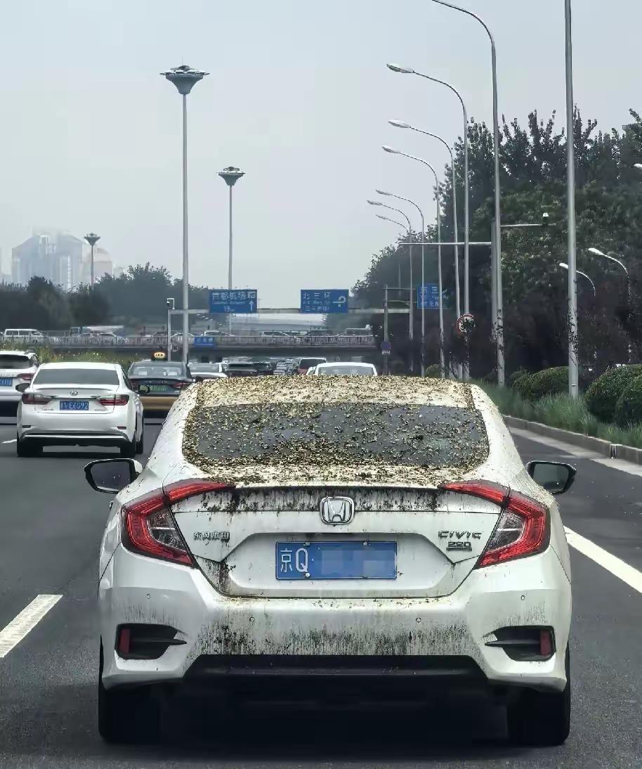 这个车洗一下50块有人接吗