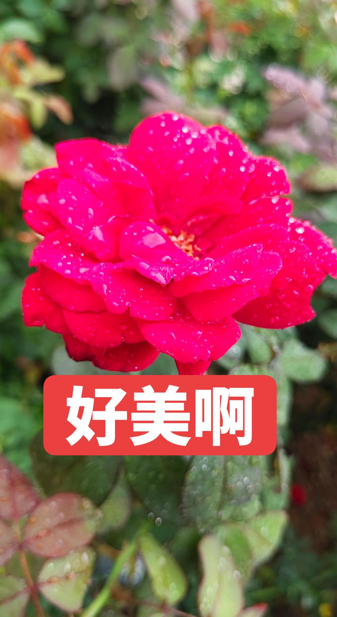 陪老婆逛立新湖随手一拍都是美景一起享受大自然的美记录身边的自然奇观用抖音记