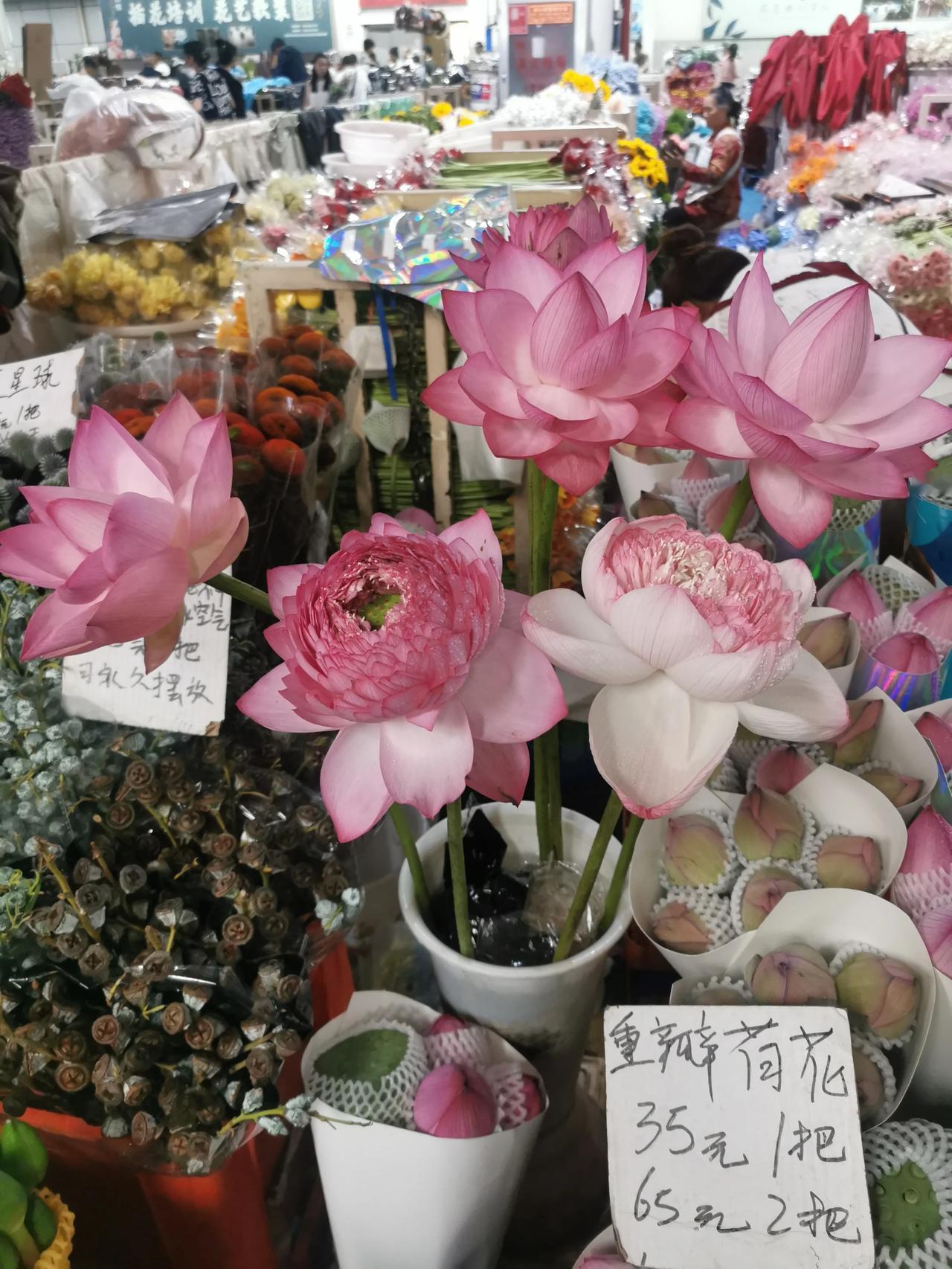 昆明斗南花市，值得旅游的人一逛，地方其实不算大，但确实算花的海洋。花品种多，也便