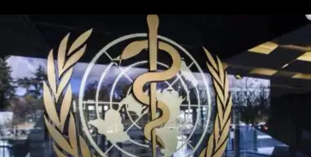 美国怒喷世卫后，各国反应亮了---