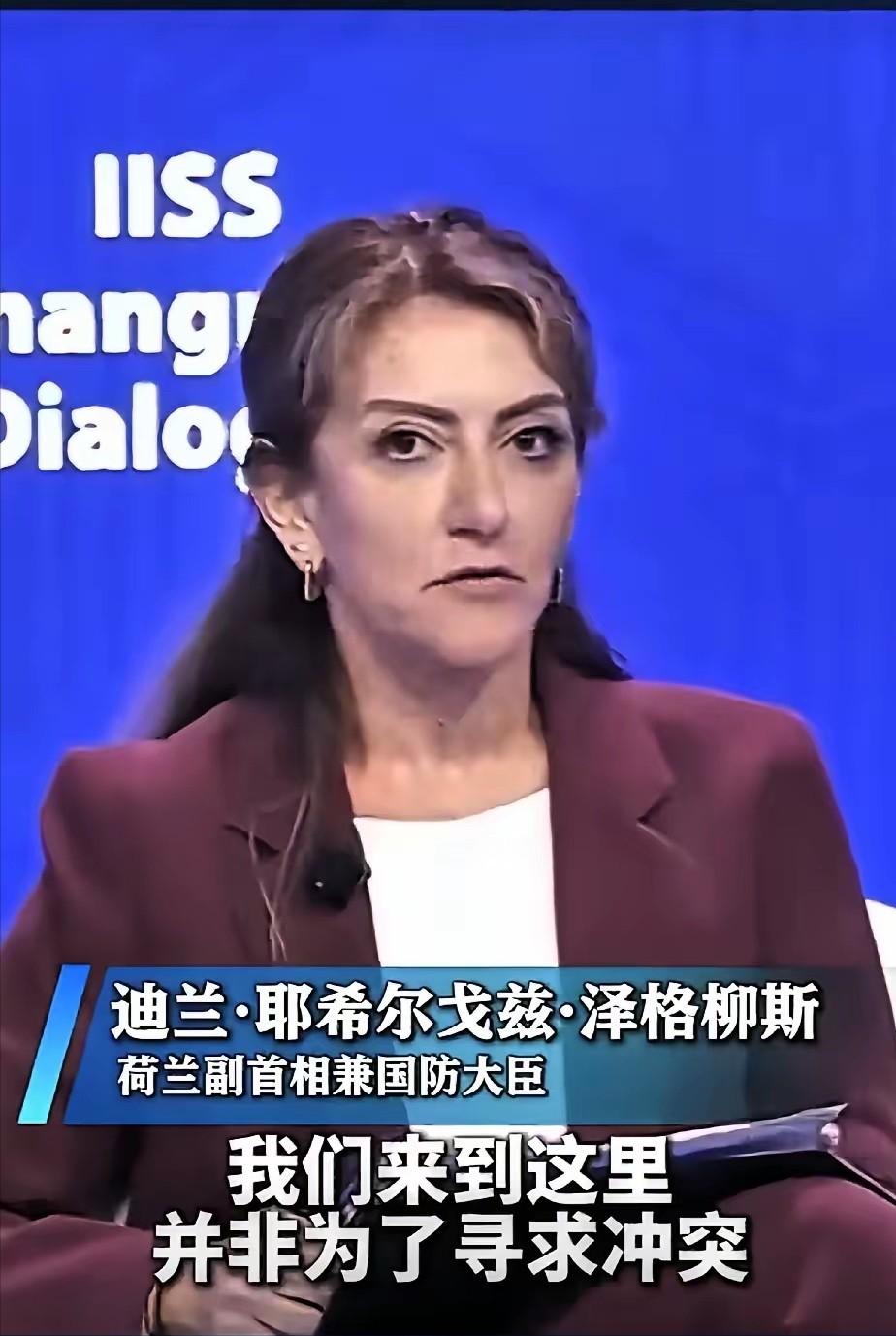 新加坡香格里拉对话会的会场里，一位中国大校把话筒递到了荷兰国防大臣面前。短短两句