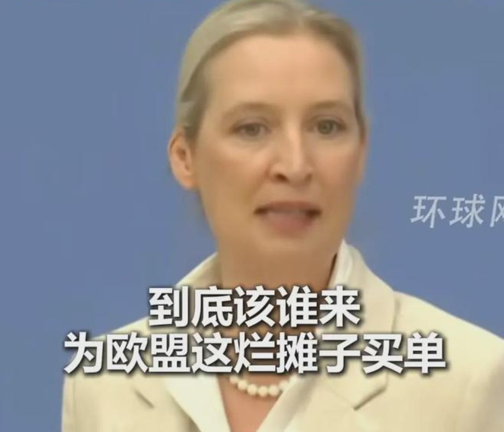 这个女人不简单欧洲国家目前面临的问题，他们的领导人假装视而不见、听而不闻，把头直接埋在沙子里。最轰动