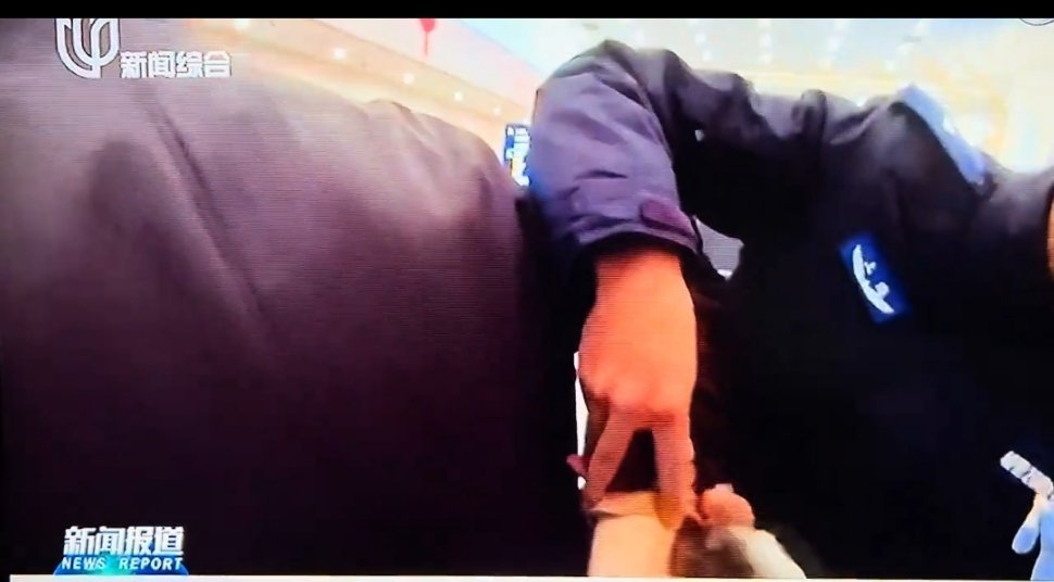 马前卒马年马失前蹄现场