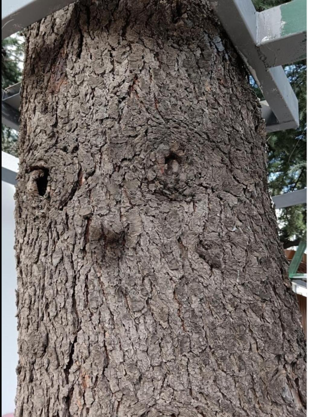 人在作，天在看，果不其然，到处都有眼晴在盯着。