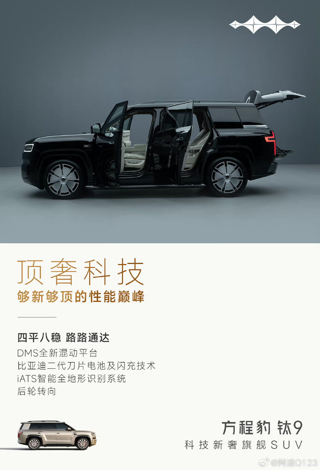 钛9是方程豹全新DMS全新混动平台首发车型，6种车身颜色选择，方程豹系列首位9系成员，开始预约了接下