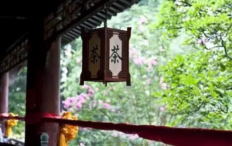 你可能不爱茶, 但你得喝茶!