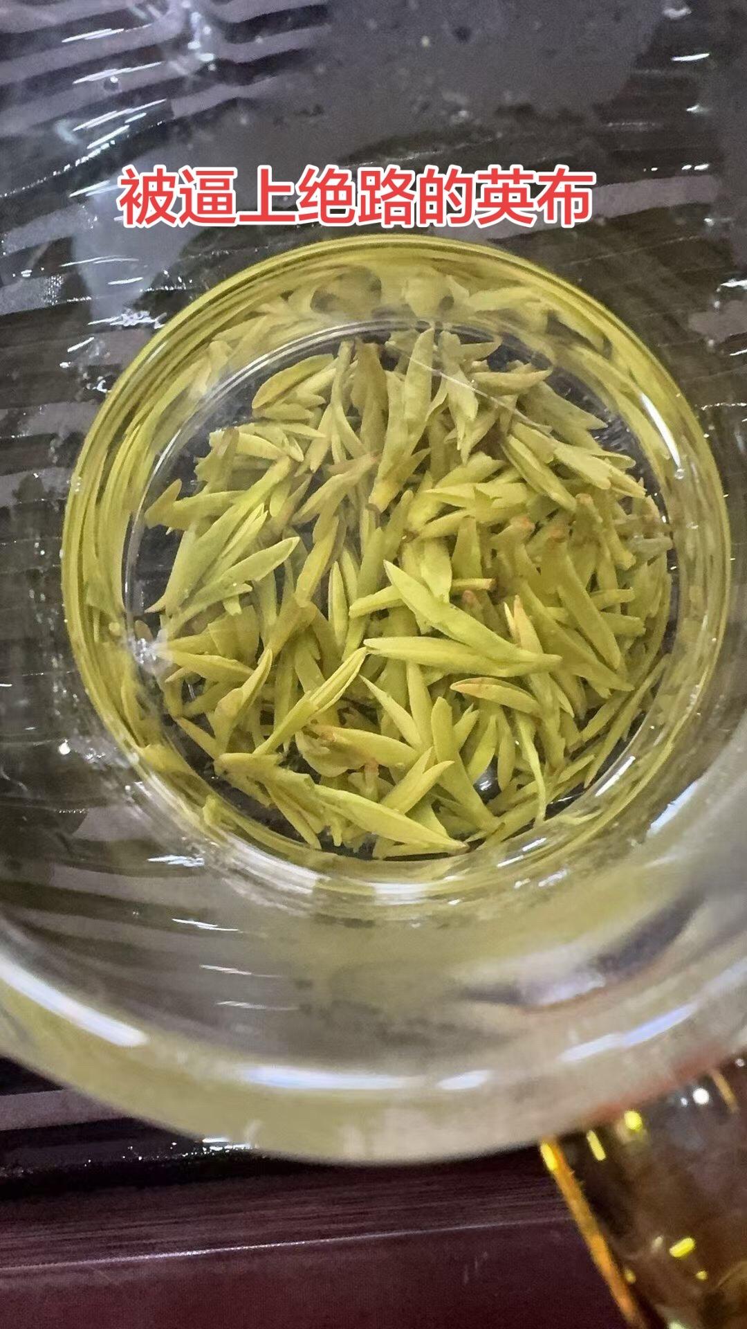 刘邦灭掉楚霸王项羽以后，开始诛杀跟随自己打天下的异性王。张良曾说韩信...