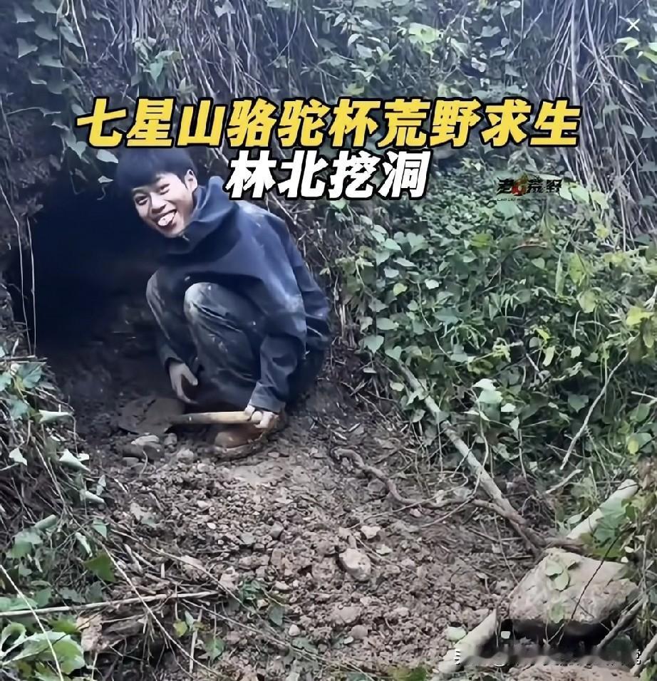 荒野求生林北挖洞这操作是狠人还是傻气刚刷到七星山荒野赛的迷惑操作——选手林