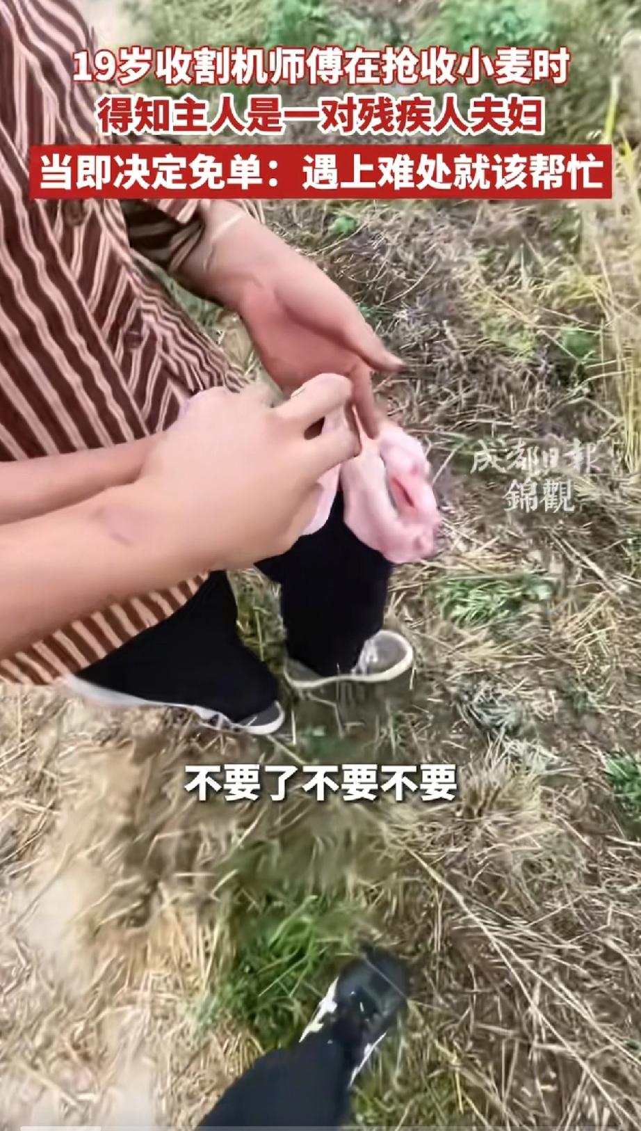 河南南阳，一名19岁的山东农机手在帮忙收割小麦时，发现麦地女主人全程沉默不语。后