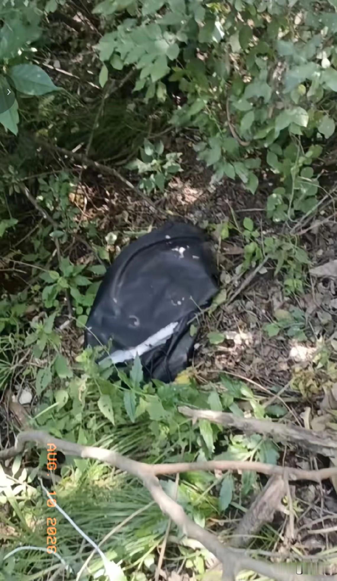 程梦圆坠崖点是上午12点左右被发现的，听说是一位山民上山挖野菜，发现了背包，上报