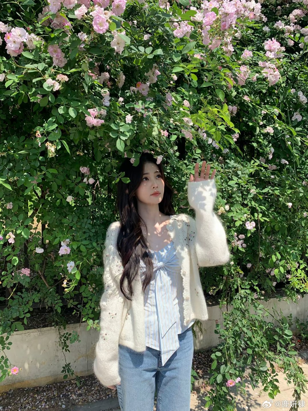 #白鹿##白鹿#想要经验值😋​
