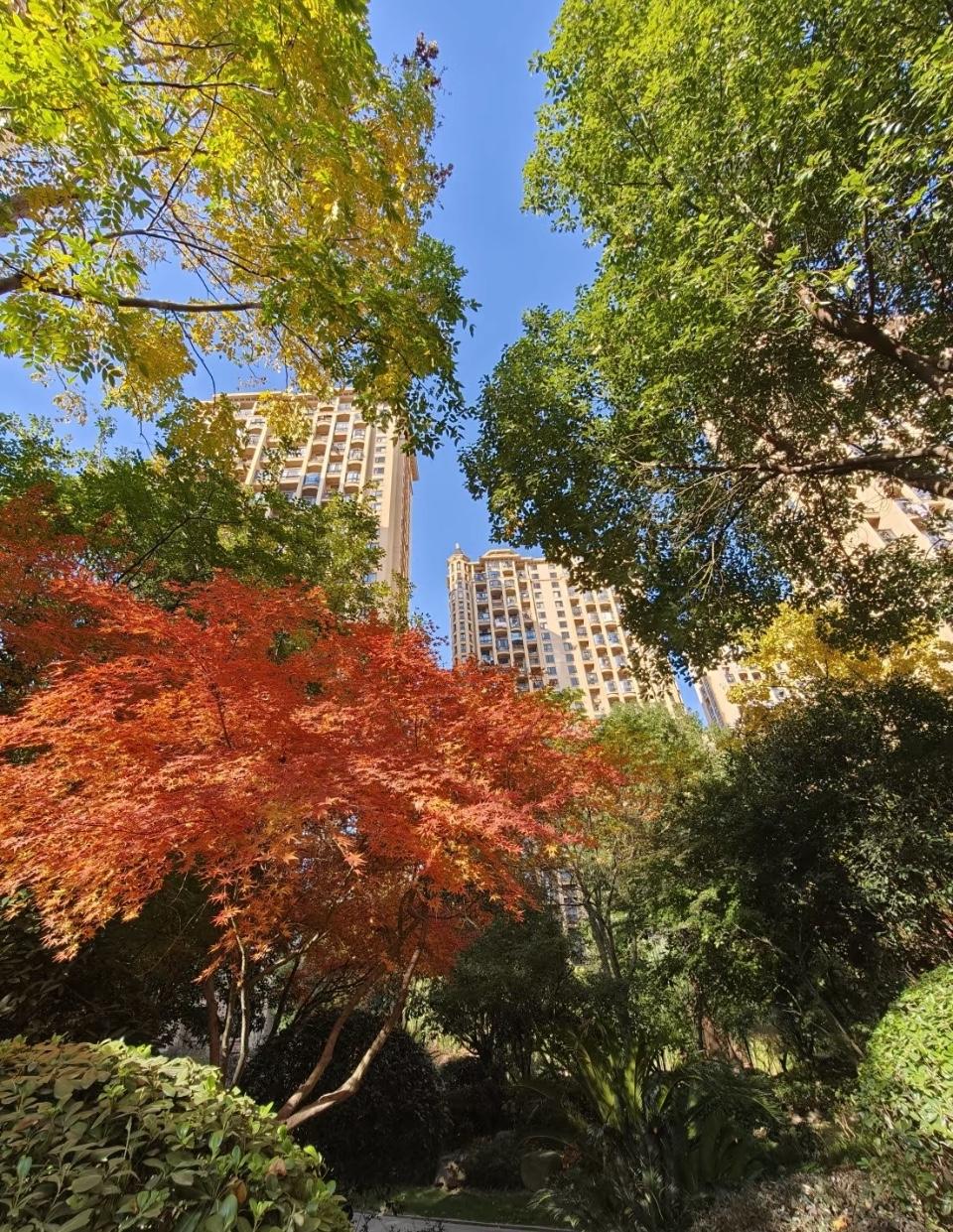 昨日（1月24日），北京二手房市场数据小觑！最大亮点在看房人数！昨日（1月2