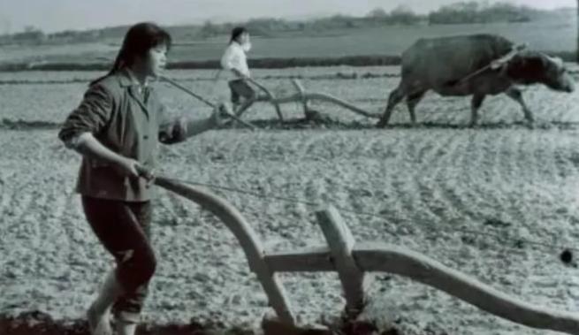 1977年，32岁的女知青刘琦返城无望，绝望中嫁给了一个献殷勤的当地老农。新婚夜