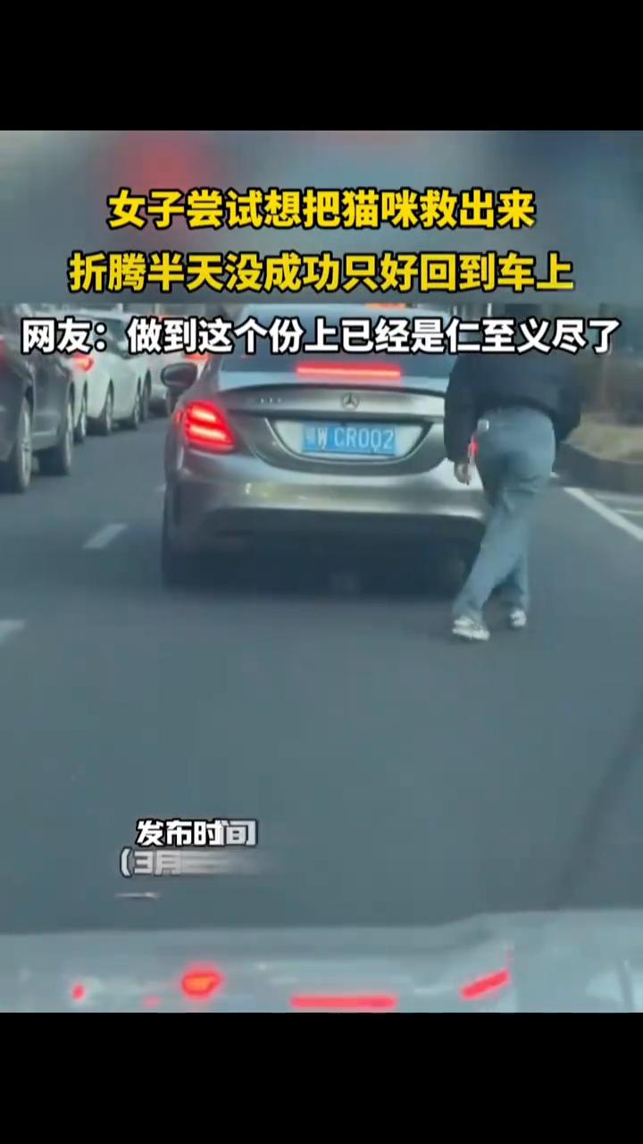 女子尝试想把猫咪救出来，折腾半天没成功只好回到车上。网友：做到这个份上已经是仁