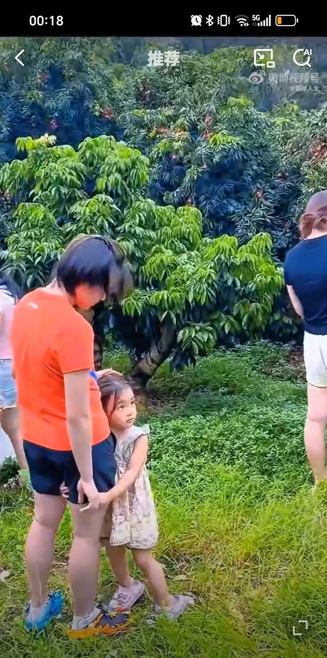 6月18日全红婵回家和家人一起摘荔枝，还是回家的孩子很幸福，因为内心更放松，希望